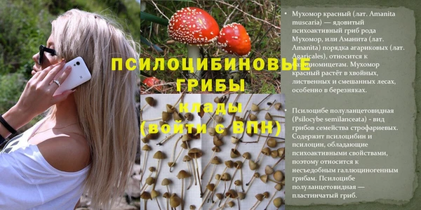 MDMA Алексеевка