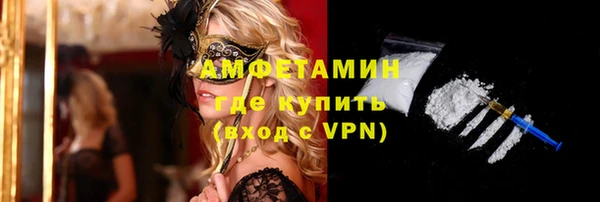 стафф Аркадак