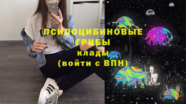 mdpv Няндома